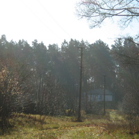 дом в лесу с.Шабалинов