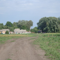 Одна з доріг, що веде із поля в село.