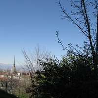 Torino 2008