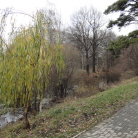 Парк 1 и 6 микрорайона Загорья