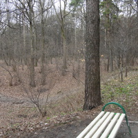 Парк 1 и 6 микрорайона Загорья