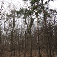 Парк в Загорье