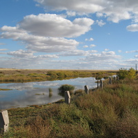 Вишневка (Аршалы) 2007 река Ишим