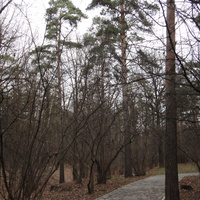 Парк в Загорье