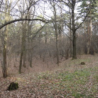 Поздней осенью в Загорьевском парке