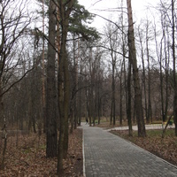 Дорожки в Загорьевском парке