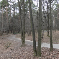 Осень, Загорье, парк