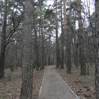 Парк у пруда Дунай