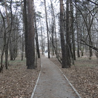 Парк в 6 микрорайоне