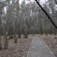 Осенний парк