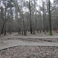 Сосоновый парк в Загорье