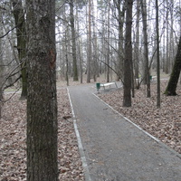 Тропинки в парке