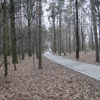 Загорьевский парк 1-го микрорайона
