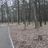 В парке, в районе Загорье