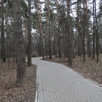 Бетонные дорожки в Загорьевском парке