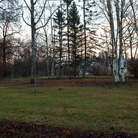 Городской парк