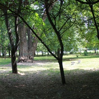 Парк за Геогиевским Собором.