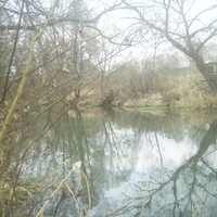 река Высса в деревне Ропщицы
