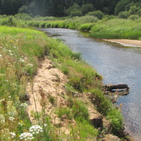 река Медведица в Рамешковском районе