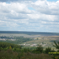 Вид на село со стороны Карасев леса