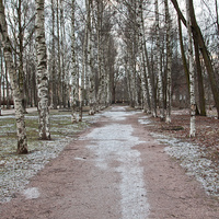 На улице Березовой