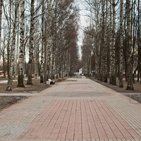 Улица Березовая