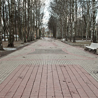 Улица Березовая