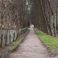 Улица Березовая