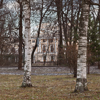 В Павловске