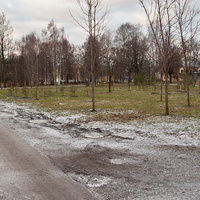 Парк в Павловске