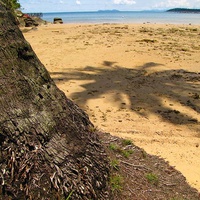 Вид на пляж в отлив