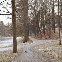 Екатерининский парк