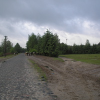 центральна дорога по селі