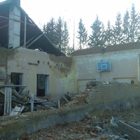 Развалины Лосьминской основной школы.