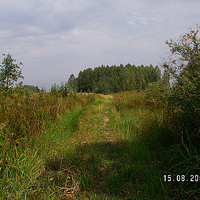Остатки старой дороги от казармы 63-й км к деревне Мартыново