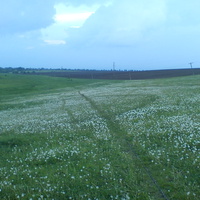 с. М. Мацевичі виг. на В. Мацевичі