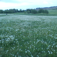 там за полем простяглась дорога