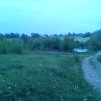 дорога до ставка