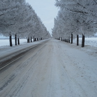 дорога в зимнюю сказку