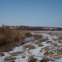 Река Левая Богучарка.