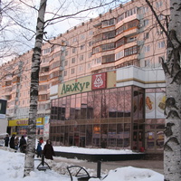 Сыктывкар декабрь 2013