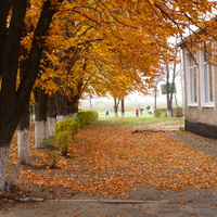 Осень на школьном дворе