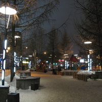 Сыктывкар декабрь 2013 сквер Детский мир