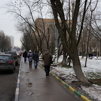 Волхонка-ЗИЛ, Болотниковская улица