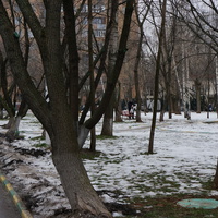 Сквер на Болотниковской