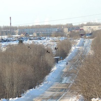 Пикалево (въезд со стороны оз.Шибковское) 2013