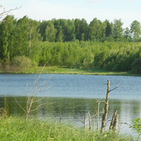 река Копылка