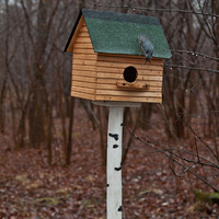 Александровский парк