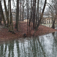 Кухонный пруд