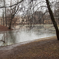 Кухонный пруд